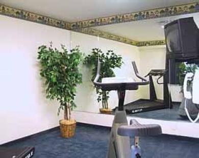 San Mateo Sfo Airport Hotel Konforlar fotoğraf